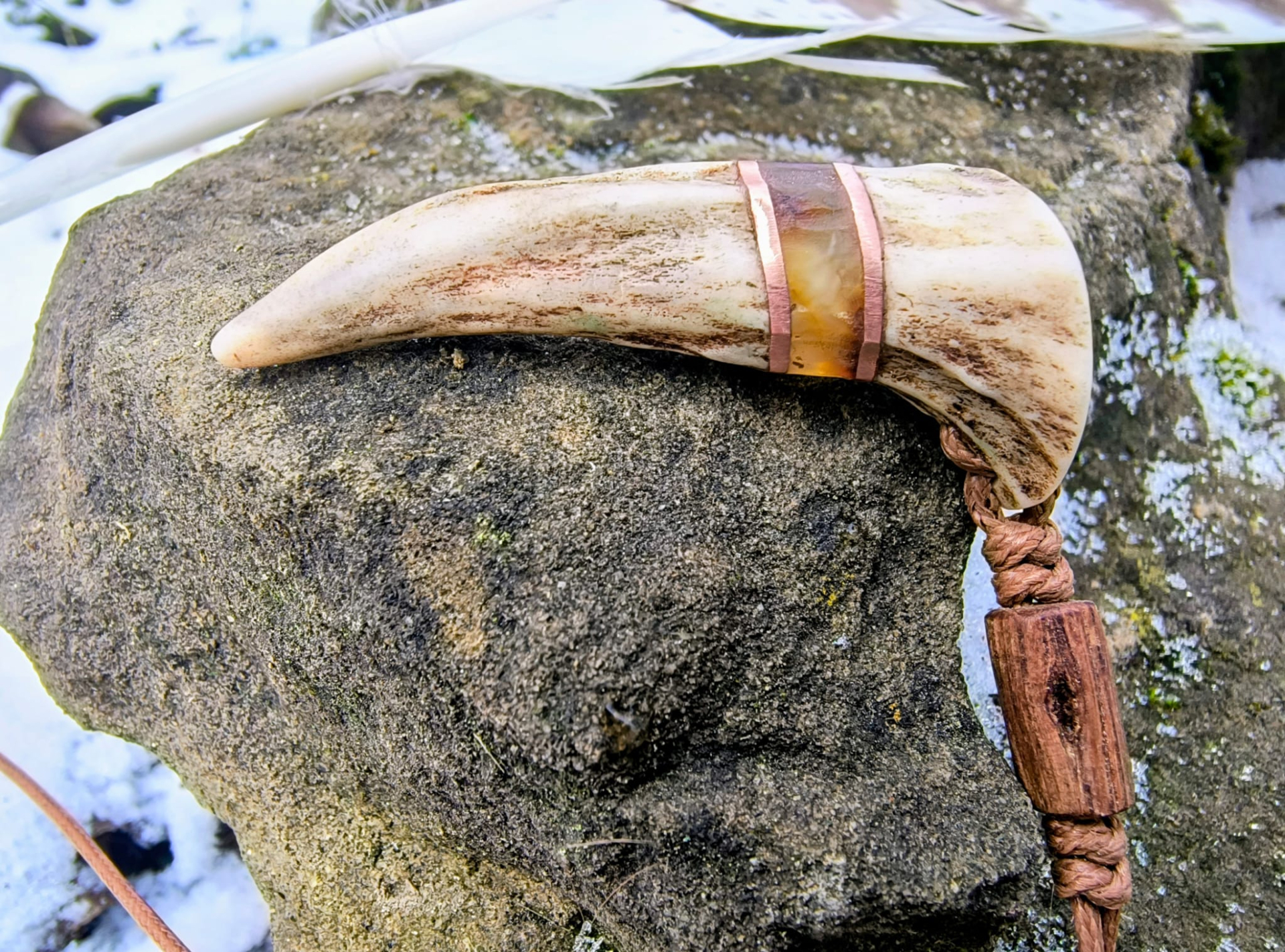 Kości/zęby/poroża